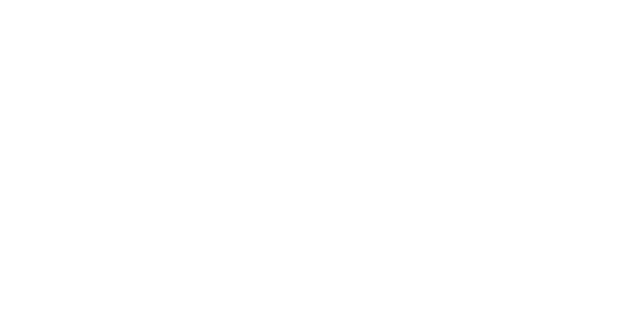 Onix logo